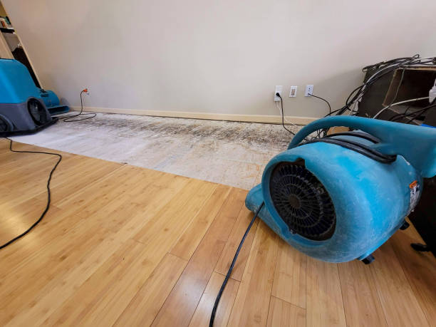 Professional Water Removal technician working in Blairsburg, IA